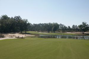 Congaree 3rd Tee
